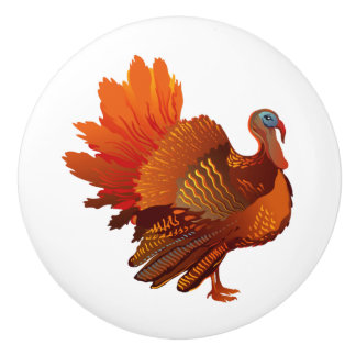Turkey Ceramic Knob