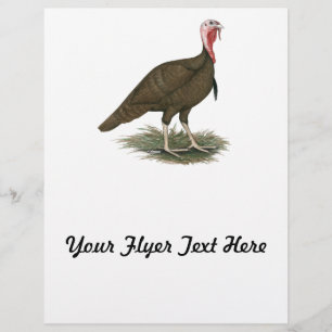 Turkey Chocolate Tom Flyer