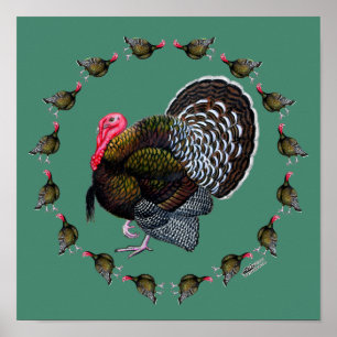 Turkey Circle Poster