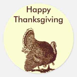 Turkey Classic Round Sticker
