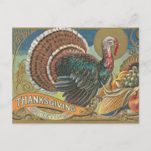 Turkey Cornucopia Thanksgiving Greeting Holiday Postcard