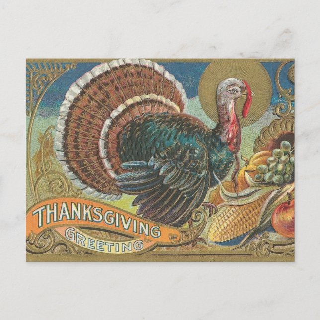 Turkey Cornucopia Thanksgiving Greeting Holiday Postcard (Front)