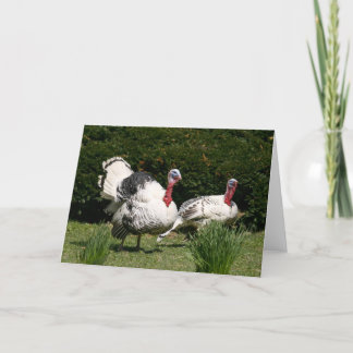 Turkey couple holiday card