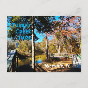 Turkey Creek Niceville Florida Postcard