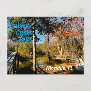 Turkey Creek Niceville Florida Postcard