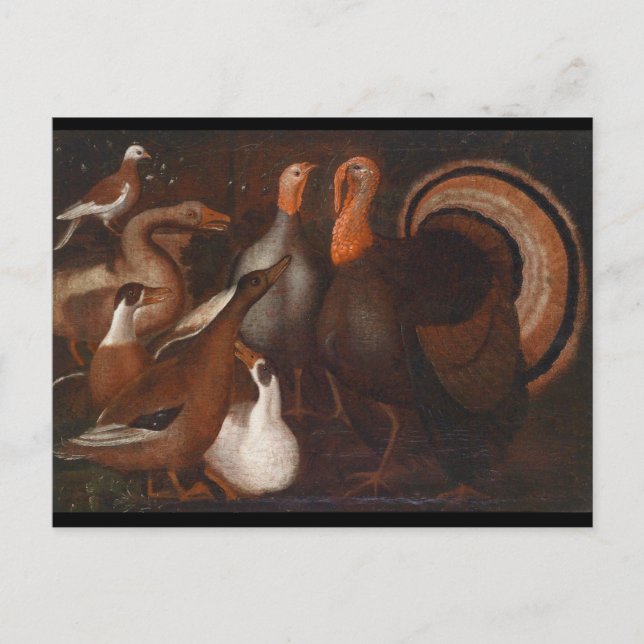 Turkey Ducks Pigeon Thanksgiving Postcard (Front)