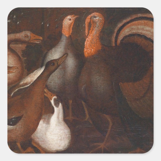 Turkey Ducks PigeonThanksgiving Square Sticker (Front)