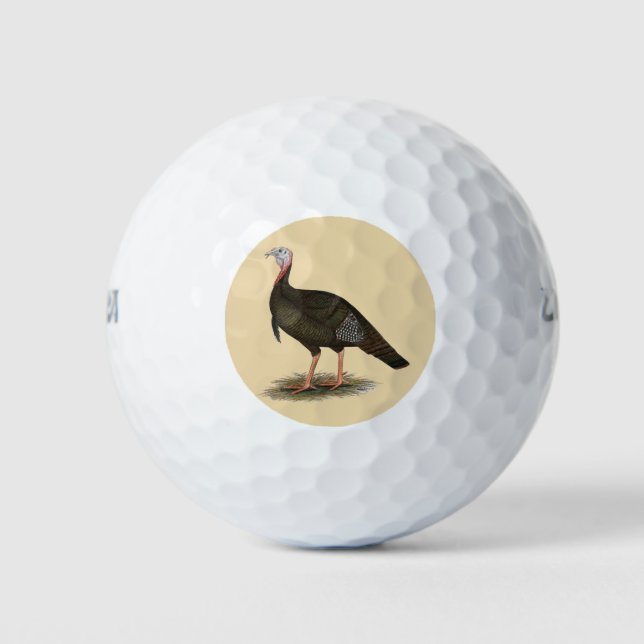 Turkey:  Eastern Wild Tom Golf Balls (Front)