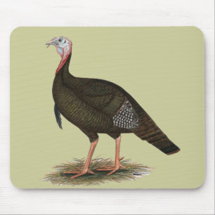 Turkey: Eastern Wild Tom Mouse Mat