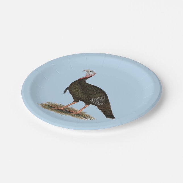 Turkey:  Eastern Wild Tom Paper Plate (Angled)
