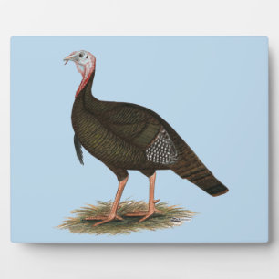 Turkey:  Eastern Wild Tom Plaque