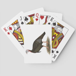 Turkey: Eastern Wild Tom Playing Cards
