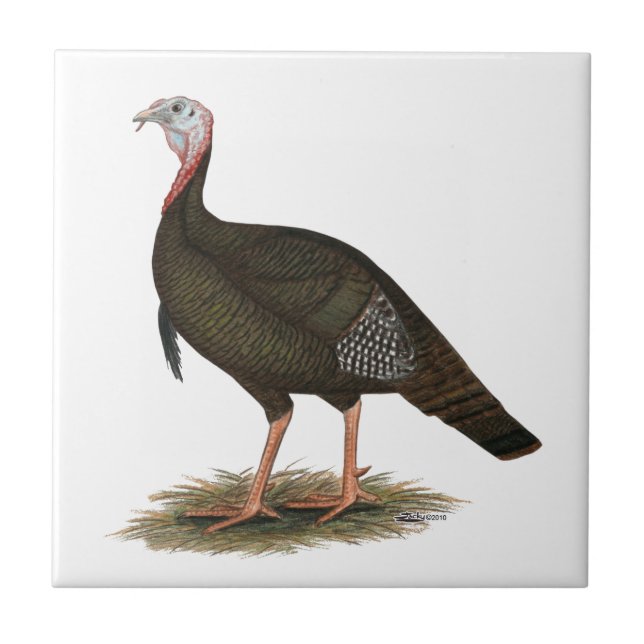 Turkey:  Eastern Wild Tom Tile (Front)
