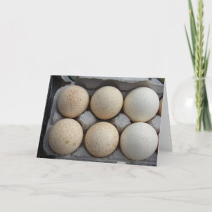 Turkey Eggs Card