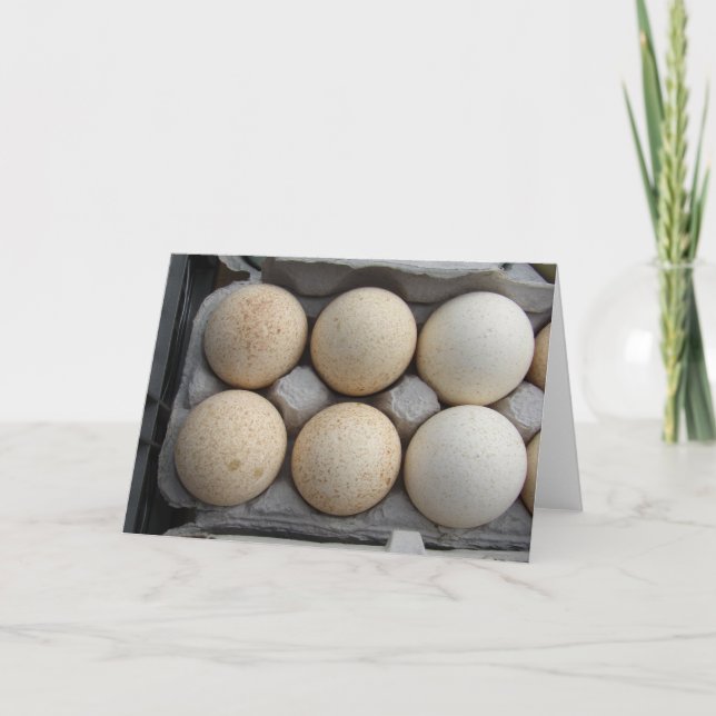 Turkey Eggs Card (Front)