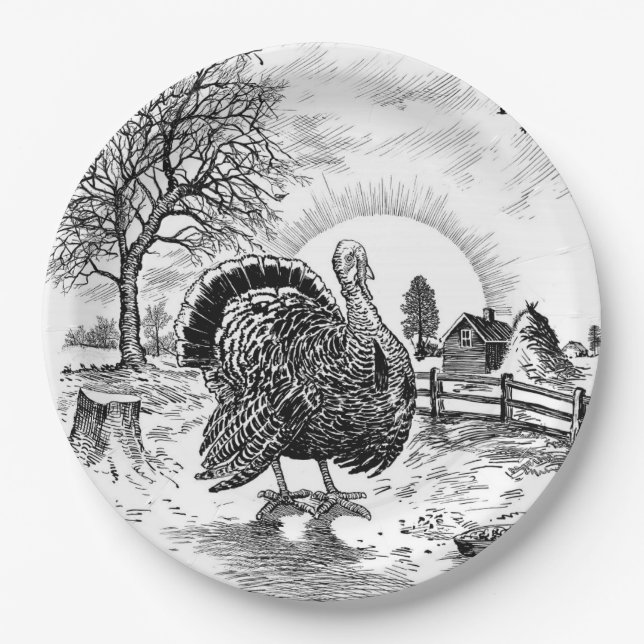 Turkey Farm Drawing Paper Plate (Front)