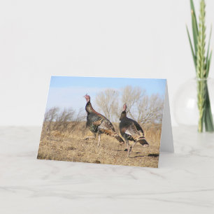 Turkey Horizon Card