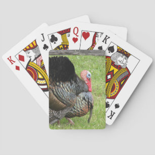 Turkey hunter playing cards