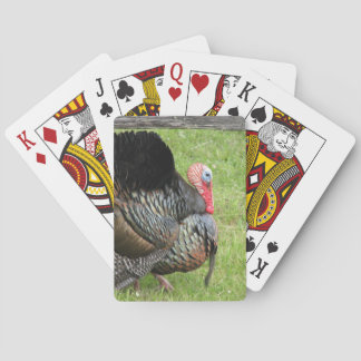 Turkey hunter playing cards