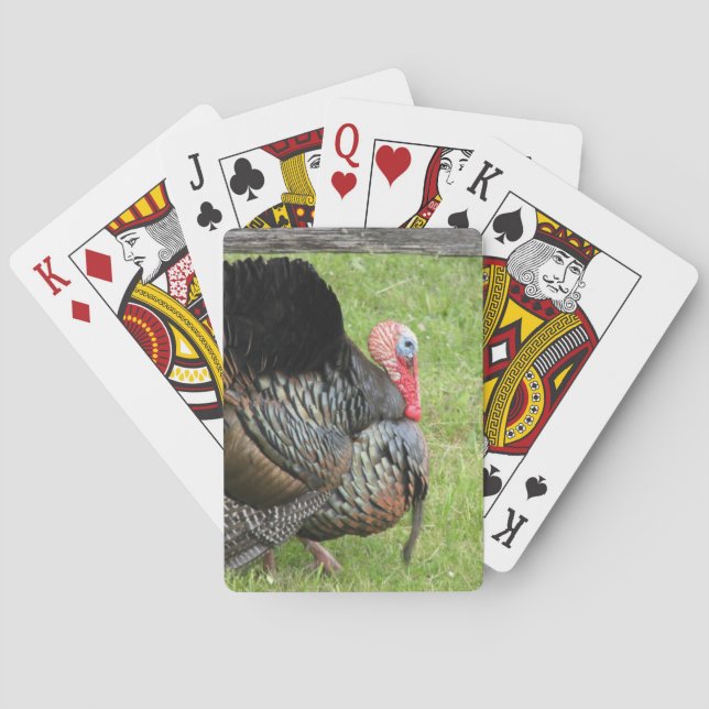 Turkey hunter playing cards (Back)