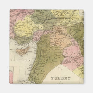 Turkey In Asia Magnet