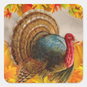 Turkey leaves pumpkins square sticker