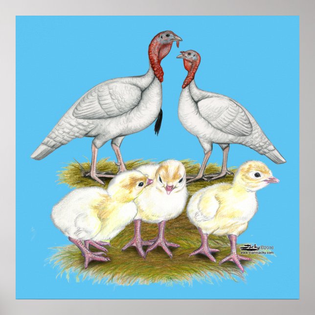 Turkey Mini White Family Poster (Front)