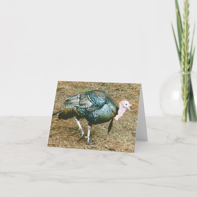 Turkey Photo Folded Note Card (Front)