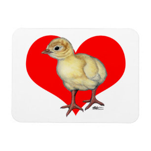 Turkey Poult Heart Magnet