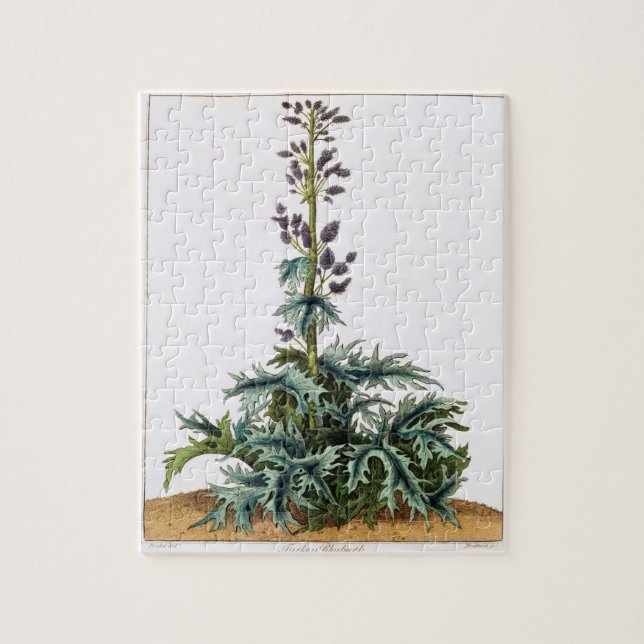 Turkey rhubarb plant jigsaw puzzle (Vertical)