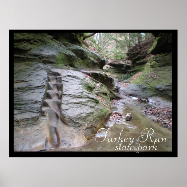 Turkey Run State Park Eroded Stairs Poster (Front)