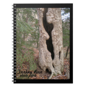 Turkey Run State Park, Hallow Tree Notebook