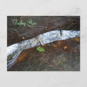 Turkey Run state park Postcard