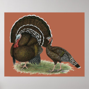 Turkey Standard Bronze Poster