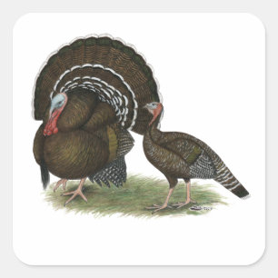 Turkey Standard Bronze Sticker