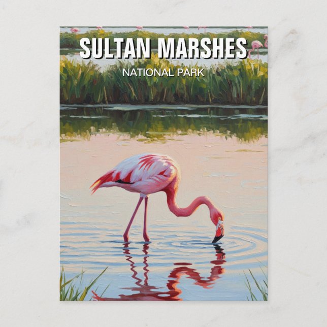 Turkey Sultan Marshes National Park Travel Postcard (Front)