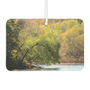 Turkey Swamp Park - Fall Leaves in NJ - Car Air Freshener