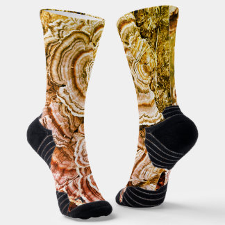 Turkey tail mushroom socks