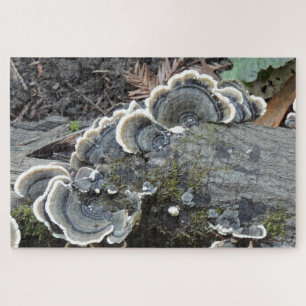 Turkey Tail Mycelium Puzzle