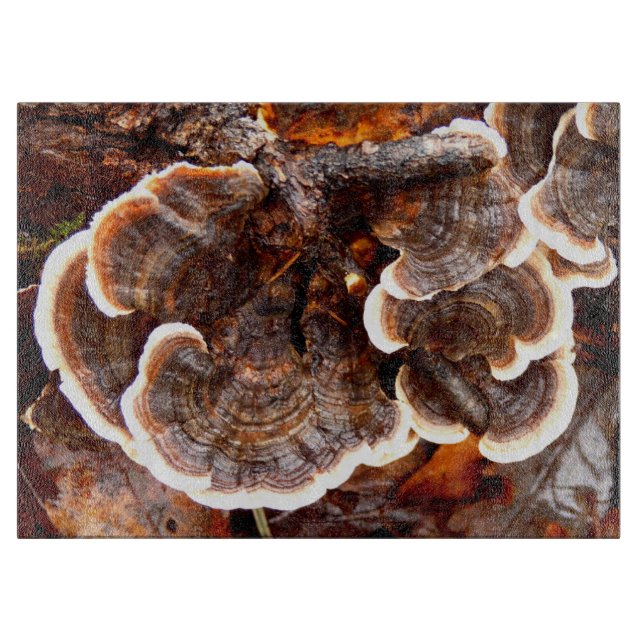 Turkey Tails Fungi Glass Chopping Board (Front)