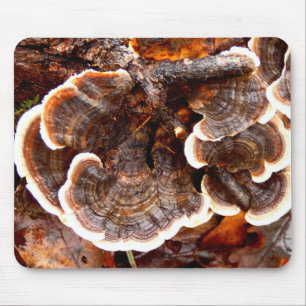Turkey Tails Fungi Mouse Mat