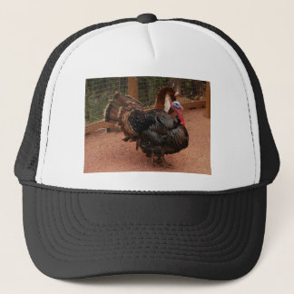 turkey, thanksgiving trucker hat