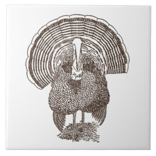 Turkey Tile