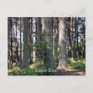 Turkey Time! Postcard