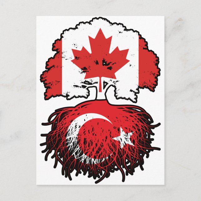 Turkey Turkish Canadian Canada Tree Roots Flag Postcard (Front)