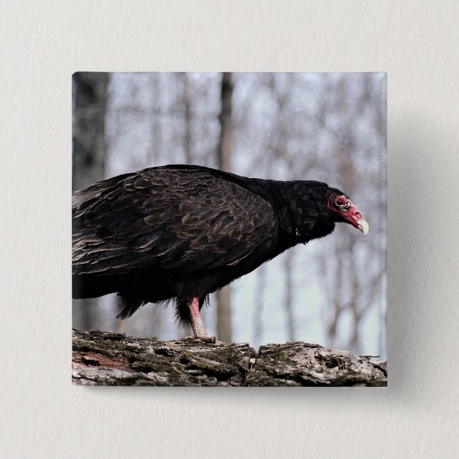 Turkey vulture 15 cm square badge (Front)