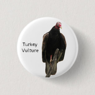 Turkey Vulture 3 Cm Round Badge