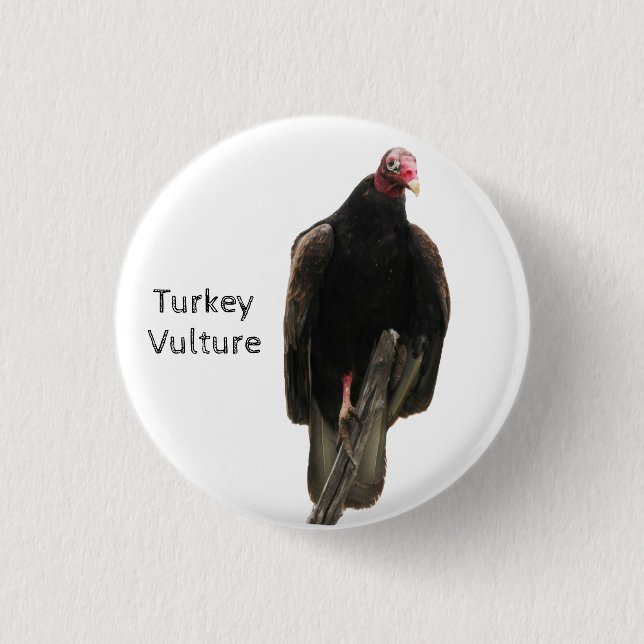 Turkey Vulture 3 Cm Round Badge (Front)