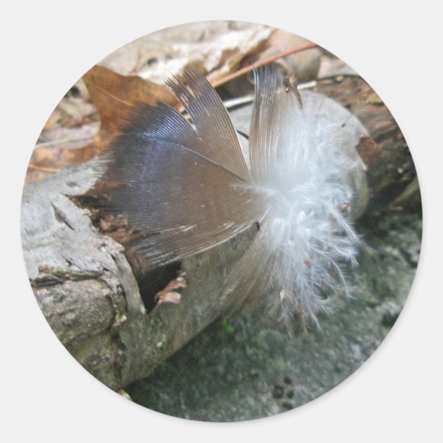 Turkey Vulture Feather Coordinating Items Classic Round Sticker (Front)