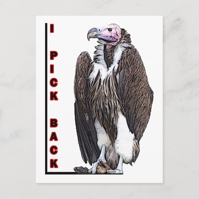Turkey Vulture I Pick Back Posterised Photo Postcard (Front)